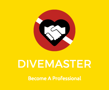 SCUBA training divemaster internships divemaster interns divemaster course divemaster training NAUI SSI YMCA SCUBA program PADI instruction