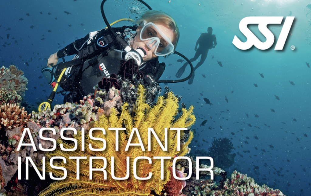 Dive Mentor | Professional and Vocational Training
